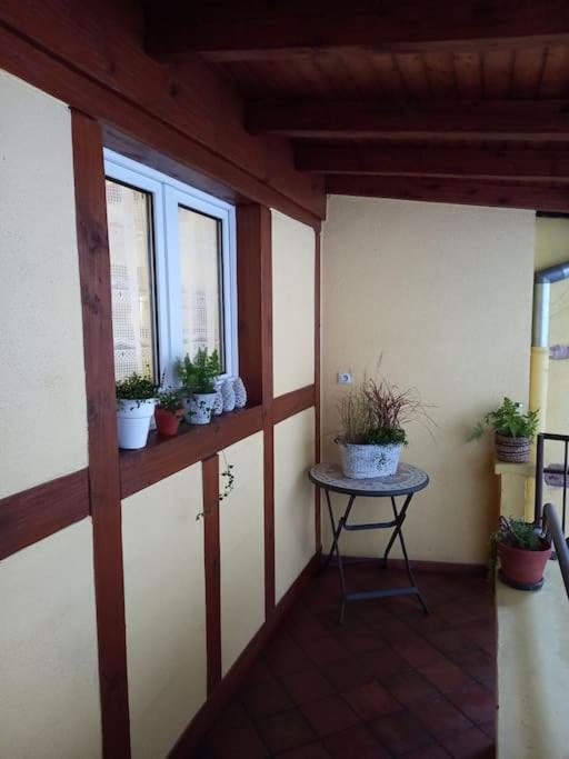 S'Gleina Gleck, In The Heart Of A Wine City, Charmant Studio 1 Piece Et 1 Salle De Bain Kaysersberg-Vignoble Exterior foto