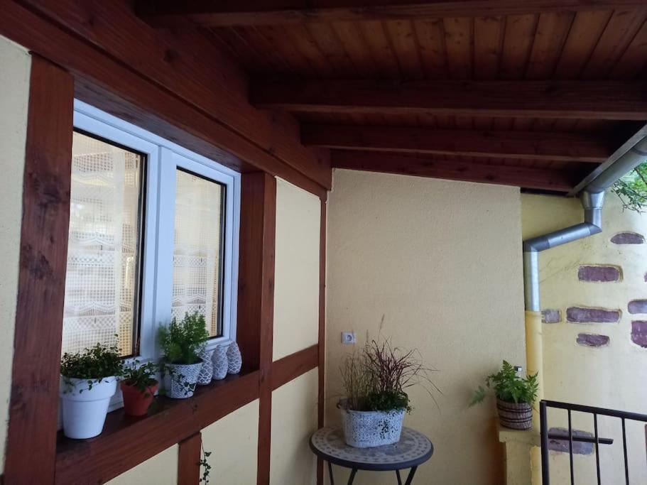 S'Gleina Gleck, In The Heart Of A Wine City, Charmant Studio 1 Piece Et 1 Salle De Bain Kaysersberg-Vignoble Exterior foto