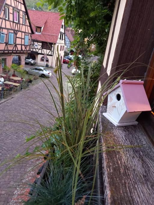 S'Gleina Gleck, In The Heart Of A Wine City, Charmant Studio 1 Piece Et 1 Salle De Bain Kaysersberg-Vignoble Exterior foto