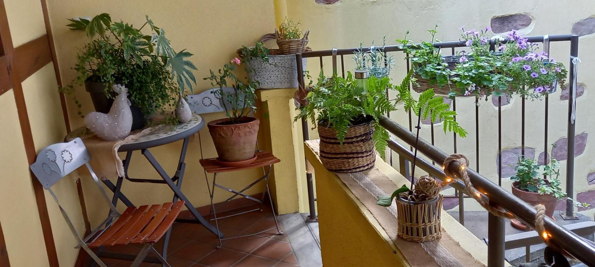 S'Gleina Gleck, In The Heart Of A Wine City, Charmant Studio 1 Piece Et 1 Salle De Bain Kaysersberg-Vignoble Exterior foto